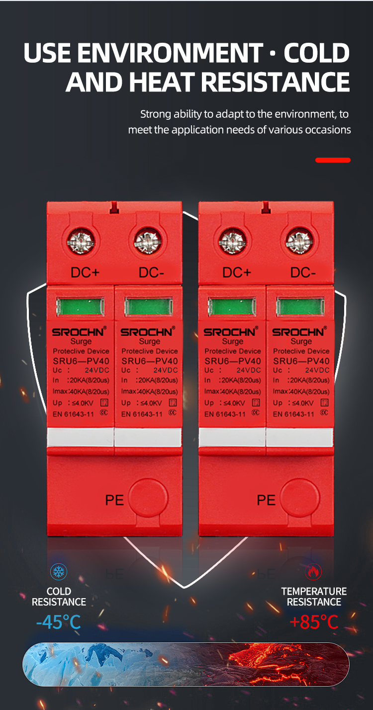 2P 24VDC T2 Surge Protective Device (10)