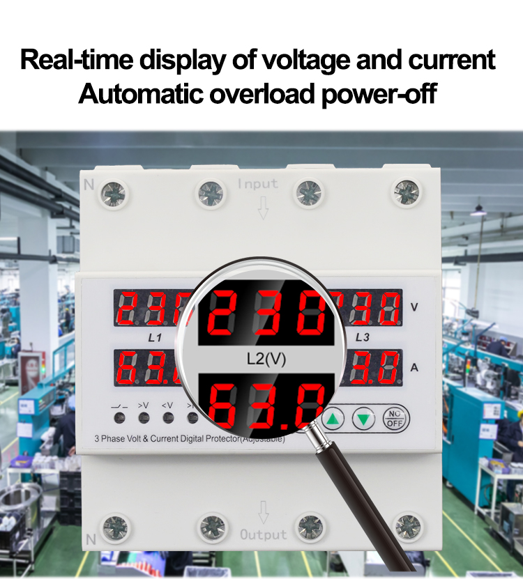 Detailed picture (3)