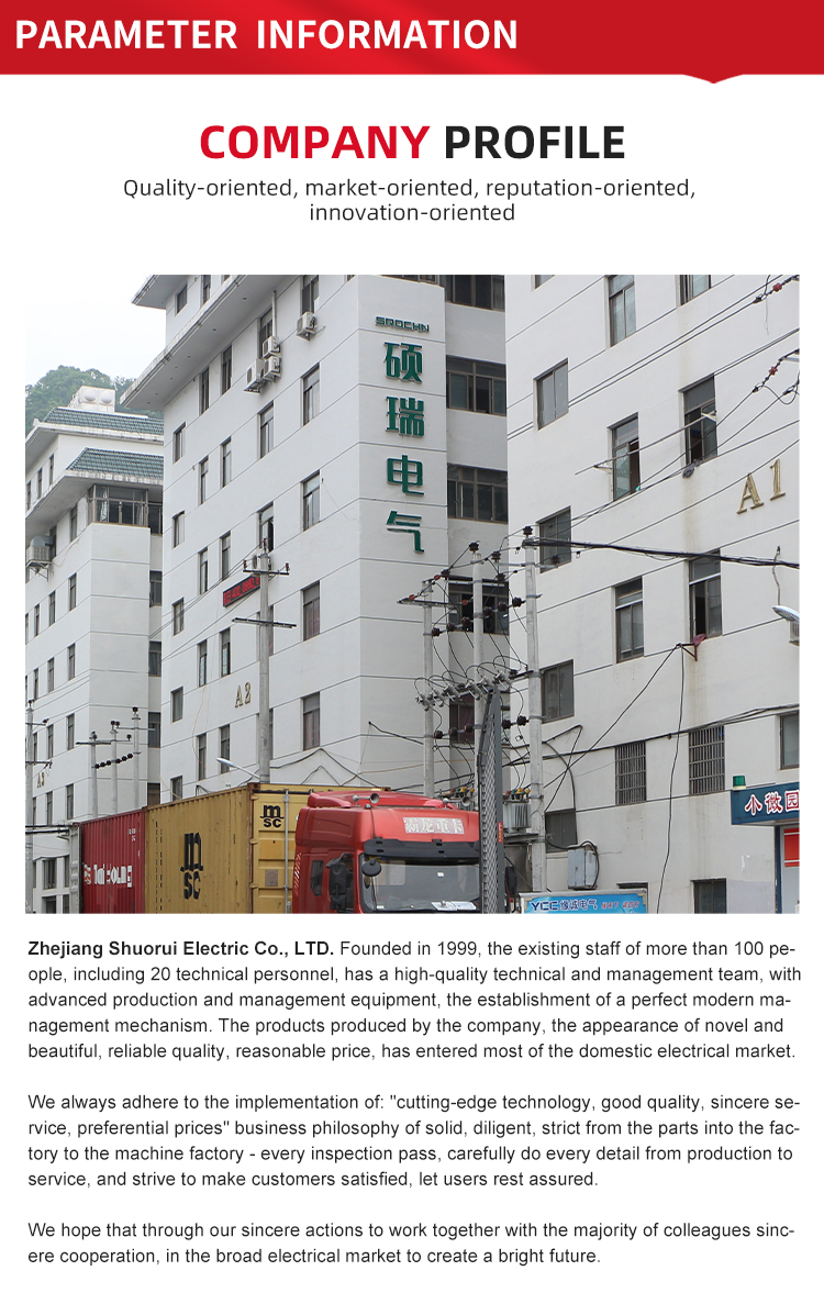 2P 500VDC T2 Surge Protective Device with 40kA Maximum Discharge Capacity (10)